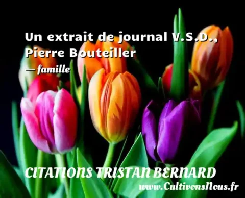 Un extrait de journal V.S.D., Pierre Bouteiller - famille CITATIONS TRISTAN BERNARD