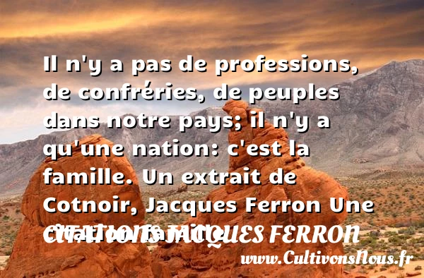 Il n’y a pas de professions, de - Citations Jacques Ferron - Citation famille