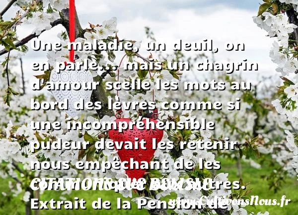 Une maladie, un deuil, on en - Citations Eve Belisle - Citation famille