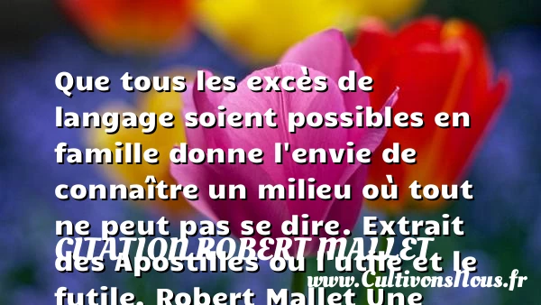 Que tous les excès de langage - Citation Robert Mallet - Citation famille - Citation futilité
