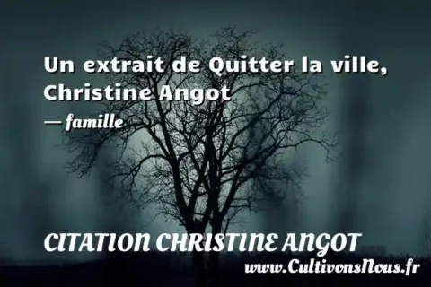 Un extrait de Quitter la ville, Christine Angot - famille CITATION CHRISTINE ANGOT