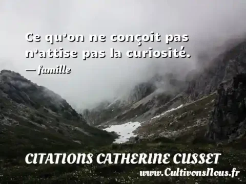 Ce qu’on ne conçoit pas n’attise pas la curiosité. - famille CITATIONS CATHERINE CUSSET