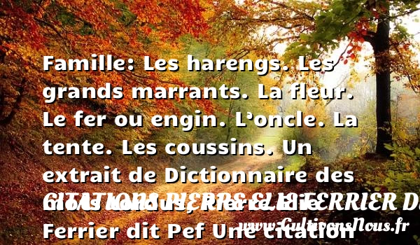 Famille: Les harengs. Les grands - Citations Pierre Elie Ferrier dit Pef - Citation famille