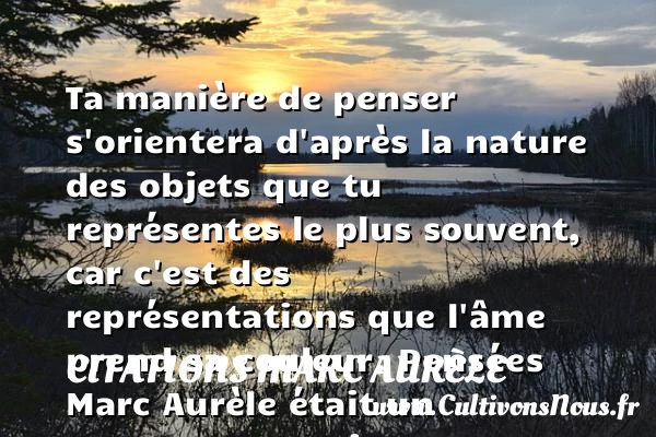 Ta manière de penser - Citations Marc Aurèle - Citation penser