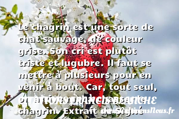 Le chagrin est une sorte de chat sauvage - Citations Francis Blanche - Citation chagrin