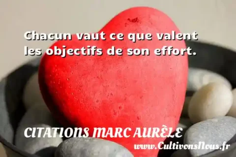 Chacun vaut ce que valent les objectifs de son effort. CITATIONS MARC AURÈLE