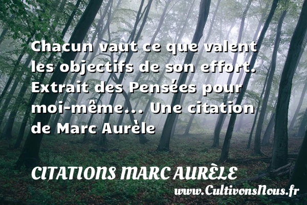 Chacun vaut ce que valent les - Citations Marc Aurèle - Citation objectif