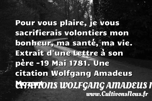 Pour vous plaire, je vous - Citations Wolfgang Amadeus Mozart