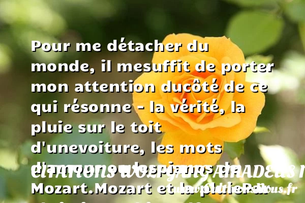 Pour me détacher du monde, il me - Citations Wolfgang Amadeus Mozart - Citation voiture