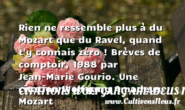 Rien ne ressemble plus à du Mozart - Citations Wolfgang Amadeus Mozart