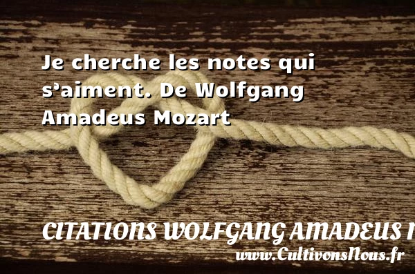 Je cherche les notes qui s aiment - Citations Wolfgang Amadeus Mozart