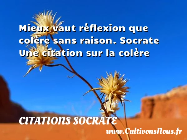 Mieux vaut réflexion que colère - Citations Socrate - Citation colère - Citation réflexion