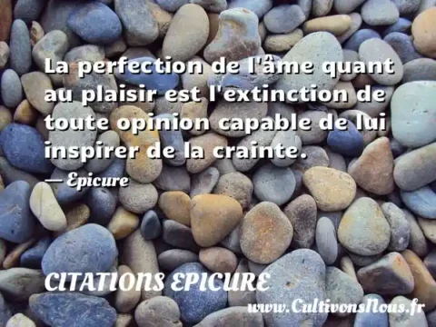 La perfection de l âme quant au plaisir est l extinction de toute opinion capable de lui inspirer de la crainte. - Epicure CITATIONS EPICURE