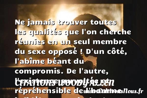 Ne jamais trouver toutes les qualités - Citations Woody allen - Citation qualité