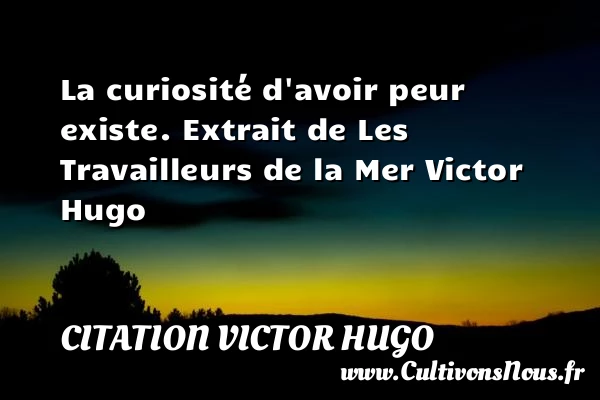 La curiosité - citation Victor Hugo