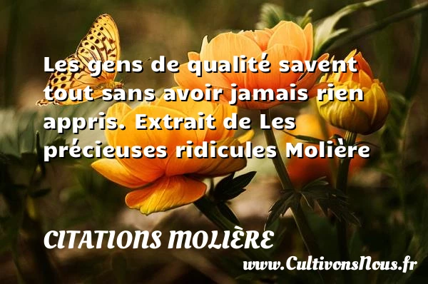 Les gens de qualité - Citations Molière - Citation qualité