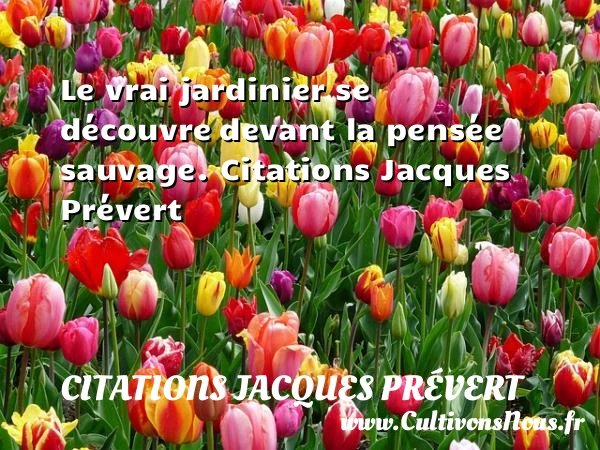 Le vrai jardinier se découvre - Citations Jacques Prévert - Citation jardin