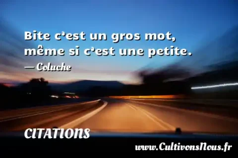 Bite c’est un gros mot, même si c’est une petite. - Coluche CITATIONS