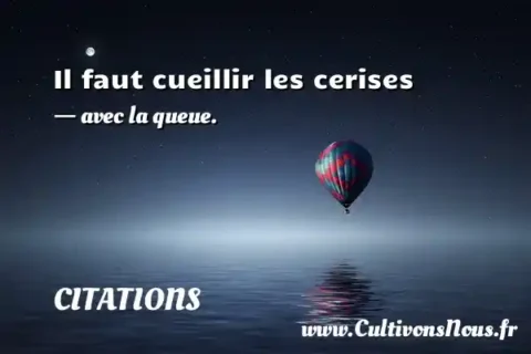 Il faut cueillir les cerises - avec la queue. CITATIONS
