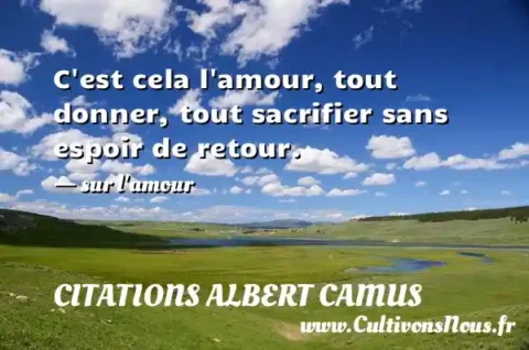 C est cela l amour, tout donner, tout sacrifier sans espoir de retour. - sur l amour CITATIONS ALBERT CAMUS