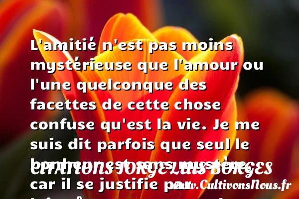 L’amitié n’est pas moins mystérieuse que l’amour - Citations Jorge Luis Borges - Citations sur l’amour