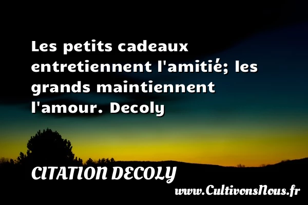 Les petits cadeaux entretiennent l’amitié - Citation Decoly - Citations Amour et Citations