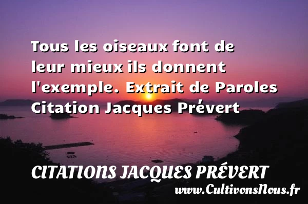 Tous les oiseaux font de leur mieux - Citations Jacques Prévert - Citation oiseau