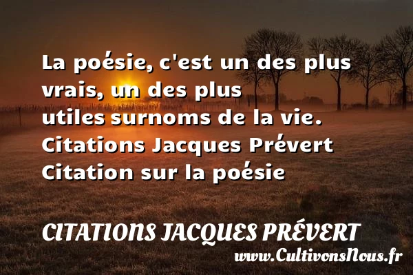 La poésie, c’est un des plus vrais - Citations Jacques Prévert