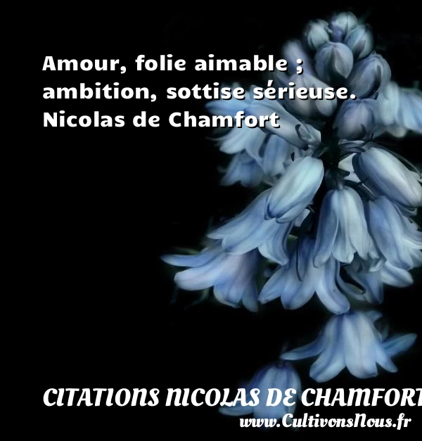 Amour, folie aimable - Citations Nicolas de Chamfort - Citations Amour et Citations