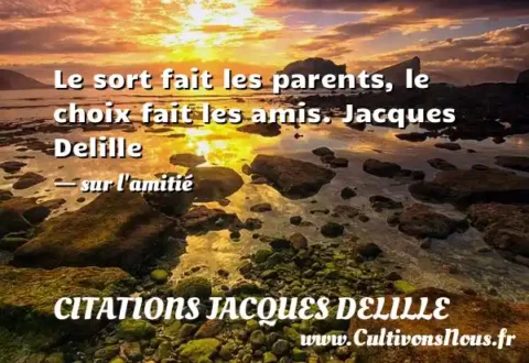 Le sort fait les parents, le choix fait les amis. Jacques Delille   - sur l amitié CITATIONS JACQUES DELILLE