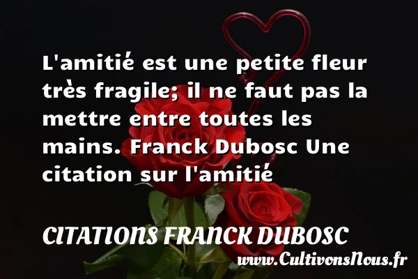 L’amitié est une petite fleur très fragile - Citations Franck Dubosc - Citation Amitié - Citation fragile