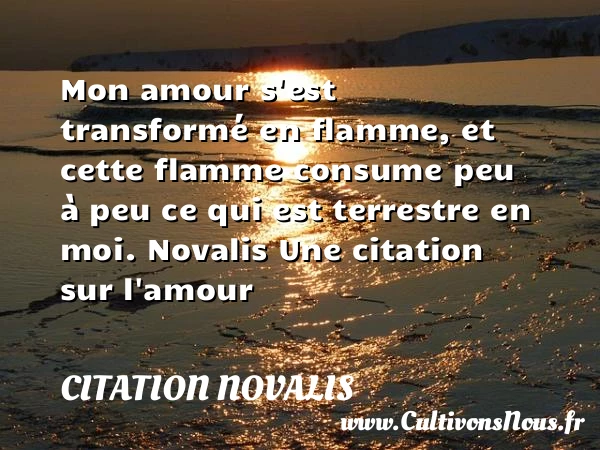 Mon amour s’est transformé en flamme - Citation Novalis - Citations sur l’amour