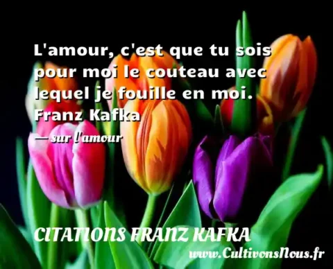 L amour, c est que tu sois pour moi le couteau avec lequel je fouille en moi. Franz Kafka - sur l amour CITATIONS FRANZ KAFKA