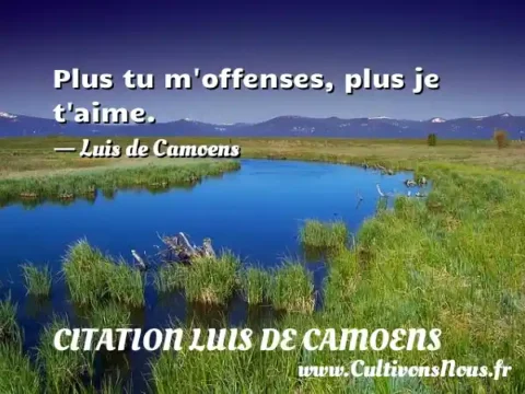 Plus tu m offenses, plus je t aime. - Luis de Camoens CITATION LUIS DE CAMOENS