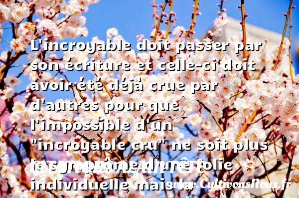 L’incroyable doit passer par son écriture - Citations Alain Tête - Citation folie