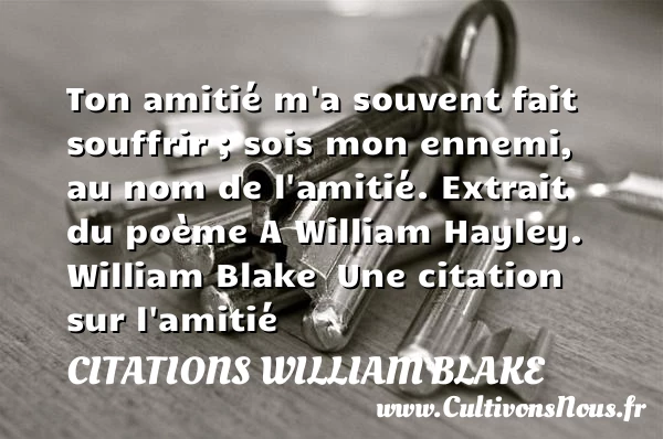 Ton amitié m’a souvent fait souffrir - Citations William Blake - Citation Amitié