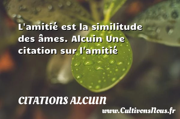 L’amitié est la similitude des âmes - Citations Alcuin - Citation Amitié