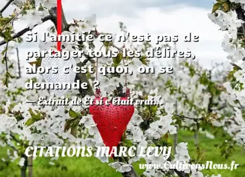 Si l amitié ce n est pas de partager tous les délires, alors c est quoi, on se demande ? - Extrait de Et si c était vrai... CITATIONS MARC LEVY