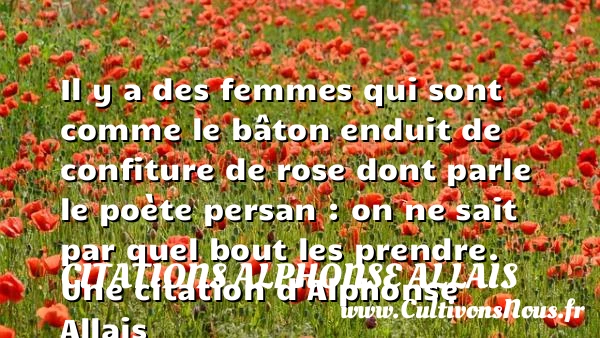 Il y a des femmes qui sont comme le bâton - Citations Alphonse Allais - Citations sur l’amour