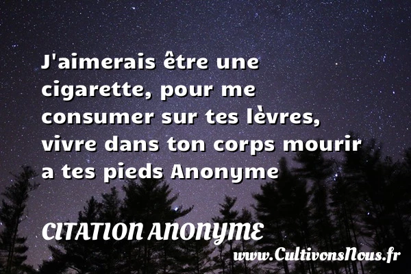 j’aimerais etre une cigarette - Citation anonyme - Citations Amour et Citations