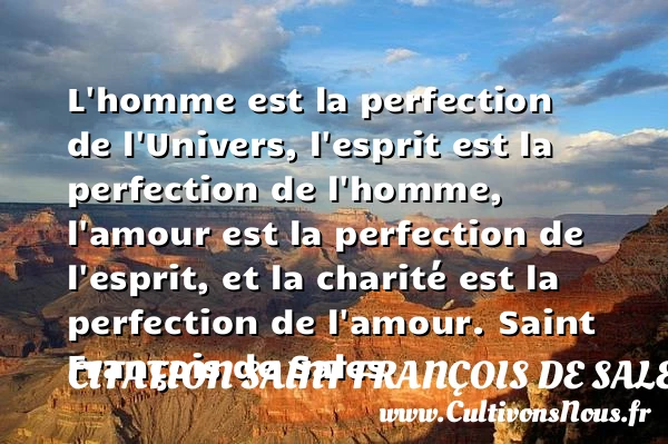 L’homme est la perfection de l’Univers - Citation Saint François de Sales - Citation perfection
