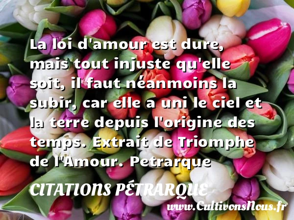 La loi d’amour est dure - Citations Pétrarque - Citations Déclaration d’amour