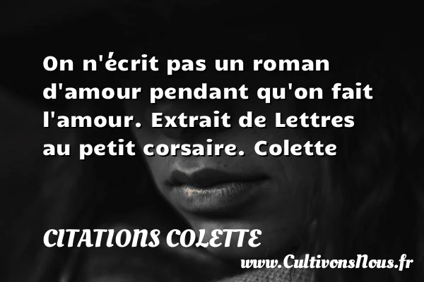 On n’écrit pas un roman d’amour - Citations Colette - Citations Déclaration d’amour