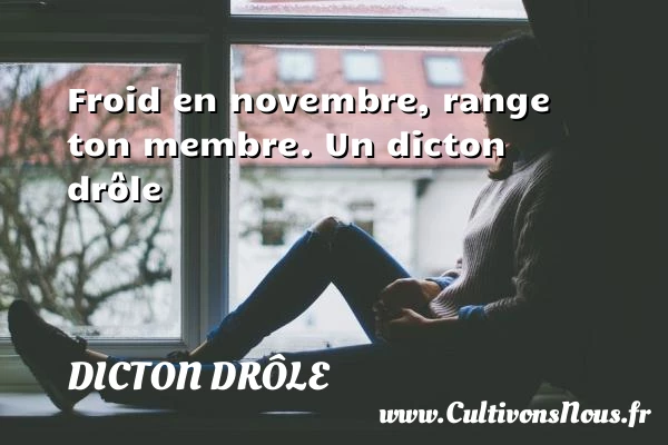 Froid en novembre, range ton membre. - Dicton drôle