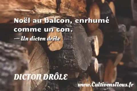 Noël au balcon, enrhumé comme un con. - Un dicton drôle DICTON DRÔLE