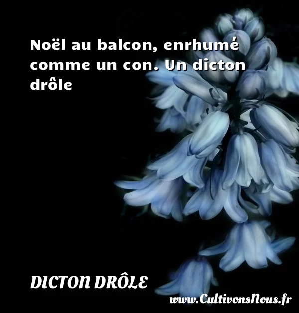 Noël au balcon, enrhumé comme un con. - Dicton drôle