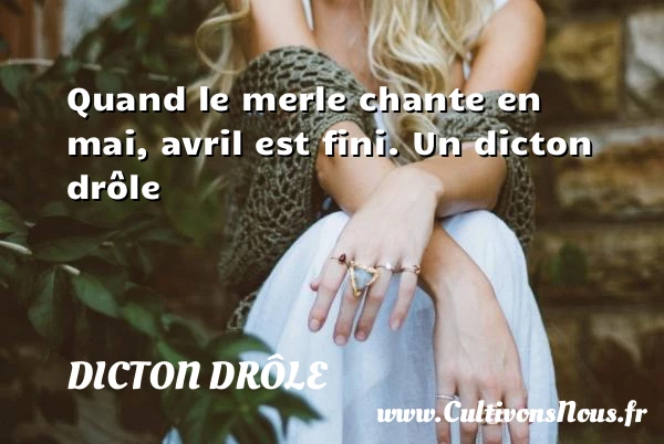 Quand le merle chante en mai, avril est - Dicton drôle