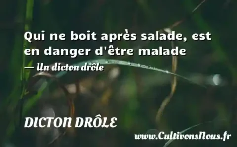 Qui ne boit après salade, est en danger d être malade - Un dicton drôle DICTON DRÔLE