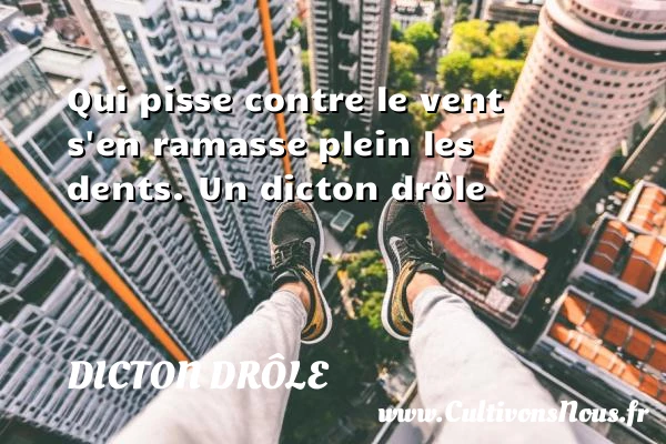 Qui pisse contre le vent s’en ramasse plein - Dicton drôle