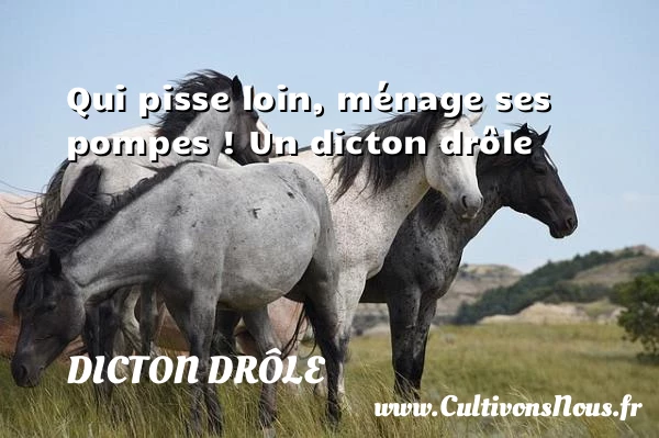 Qui pisse loin, ménage ses pompes ! - Dicton drôle
